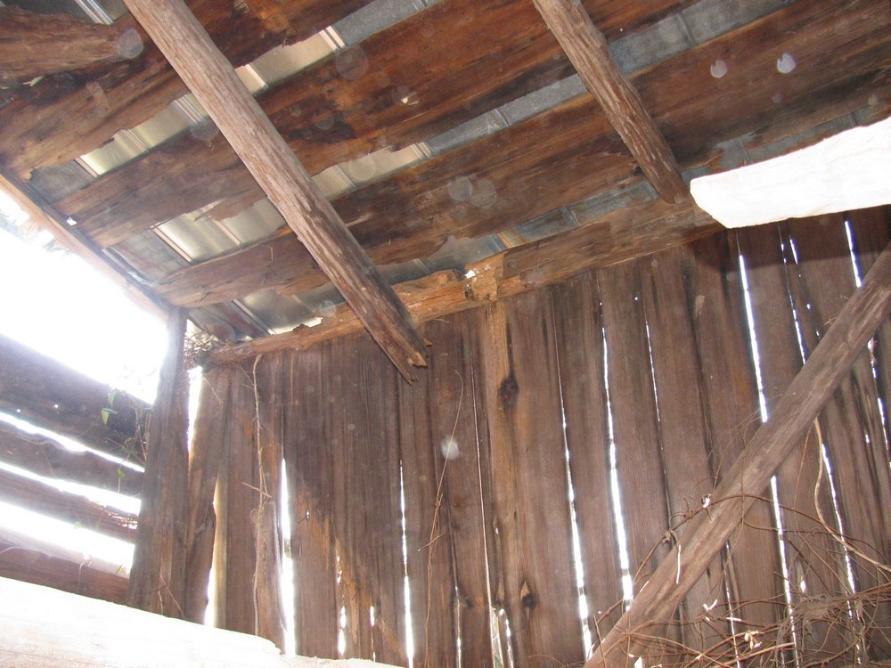 Broken Shed Rafters